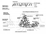 Kinds of Wood Bed Gardens.jpg