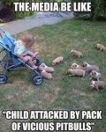 toddler attack.jpg