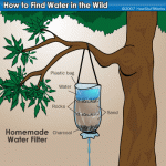 get-water-5.gif