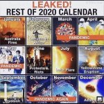 2020 calendar.jpg