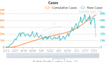 Screenshot_2020-08-03 COVID-19 Coronavirus Real Time Updates With Credible Sources in US and C...png