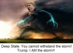 I AM the storm.jpg