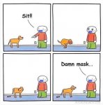 Dog and masks.jpg