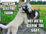 Keepin the goat.jpg