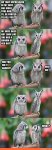 funny-owl-memes-impression-of-my-wife.jpg