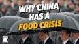 Video for china's rice shortage Youtube
