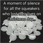 Dogs-dead_squeakers_Christmas_day.JPG