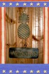 welcomePineapple.jpg
