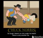 Chuck Norris Fist.jpg