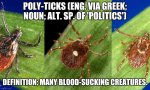 poly-ticks.jpg