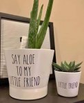 say aloe to my little friend.jpg