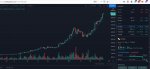 Bitcoin 1 day chart 2 20 21.JPG