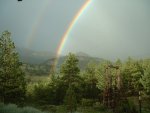 rainbow3 (2).JPG
