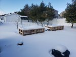 snow-on-febuary-16.jpg