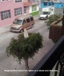 59d1f274f479dc7d.jpg