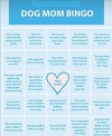 Dog mom bingo.jpg