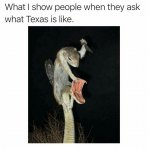 Texas015.jpg