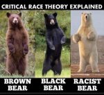 race theory.jpg