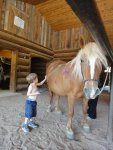 Paint brushes tickle - The Stables - May 2010.jpg