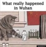 CAT Wuhan.jpg