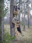 attack_dog_traning_went_wrong_Good_reasons_why_you_shouldnt_mess_with_nature-s450x600-37732.jpg