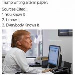 Trump term paper.JPG