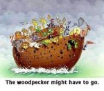 wood pecker.jpg