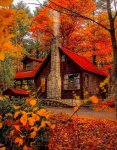 autumn cabin.jpg