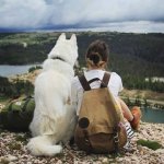 backpack-best-friends-cute-dog-Favim.jpg