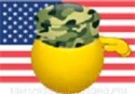 saluting-the-american-flag-smiley-emoticon-2.jpg