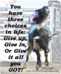 Cowboy 3 choices.JPG