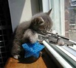 Animals-fail-with-guns-pictures-1.jpg