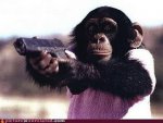 Funny Animals with Guns Pictures (7).jpg