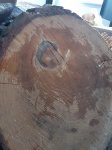 wood.jpg