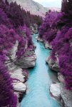 lavender canyon.jpg