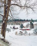 farm in the winter.jpg