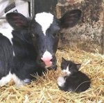 you_need_to_see_these_animal_photos_640_20.jpg