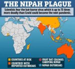 1- Nipah Plague.jpg
