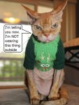Funny-Animal-Pictures-18-B2.jpg