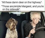 old-lady-driving.jpg