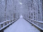 winter bridge.jpeg