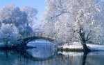 bridge over the water in the snow.jpeg