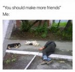 dog-should-make-more-friends.jpg