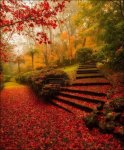 autumn outdoor steps.jpg