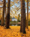 autumn in finland.jpg