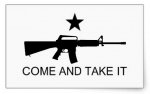 come_and_take_it_texas_flag_B.jpg