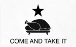 come_and_take_it_texas_flag_F.JPG