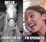 aoc special ed.png