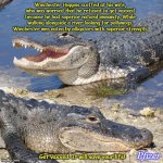 alligators-Pfizer.jpg