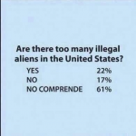 too many illegals question.  yes, no, no comprende.png